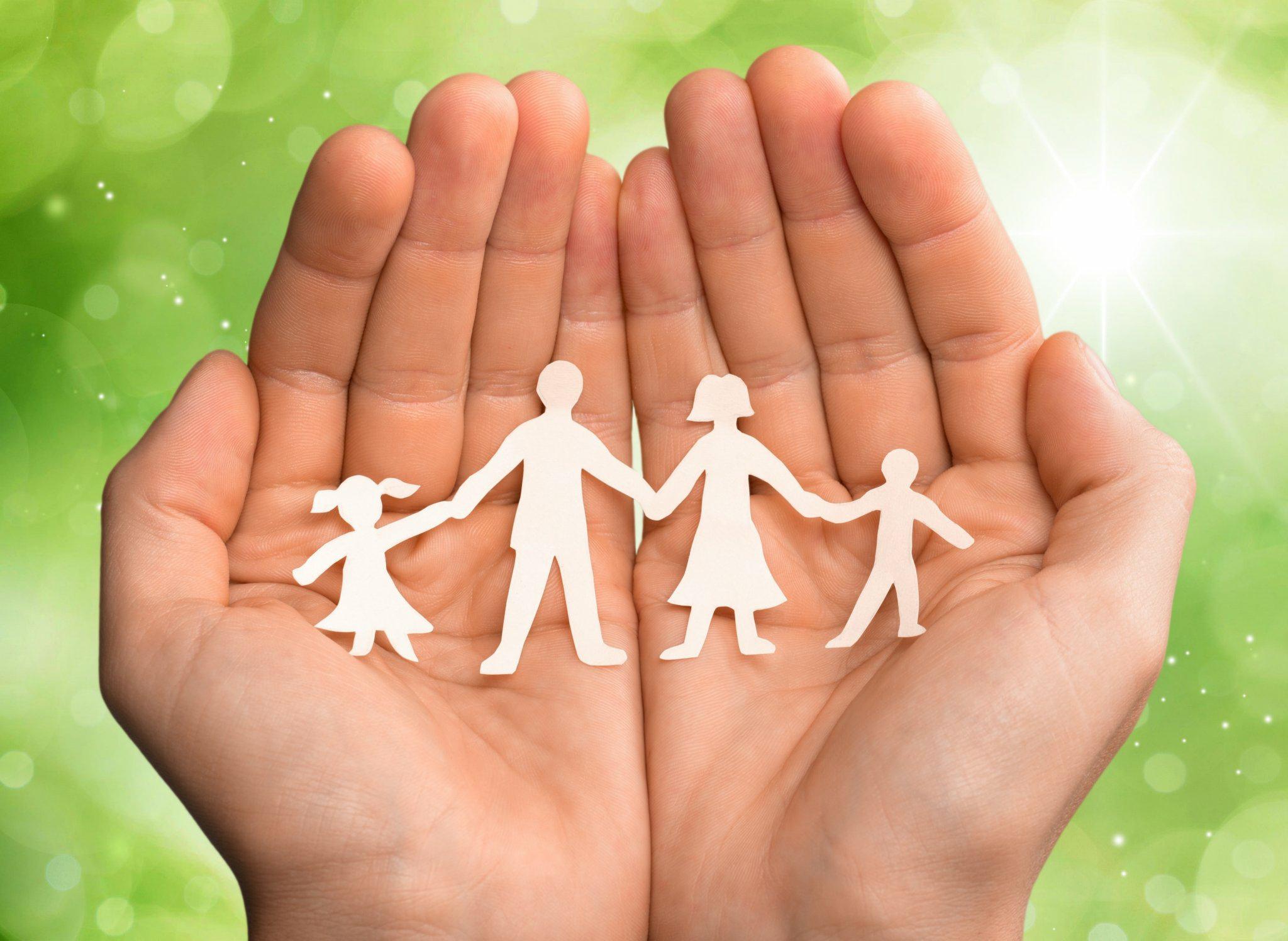 Empowering Parents With Insight: Volusia Parent Portal's Illuminating Light